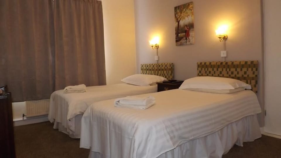 Basic Twin Room | Iron/ironing board (on request), WiFi (free), bed sheets