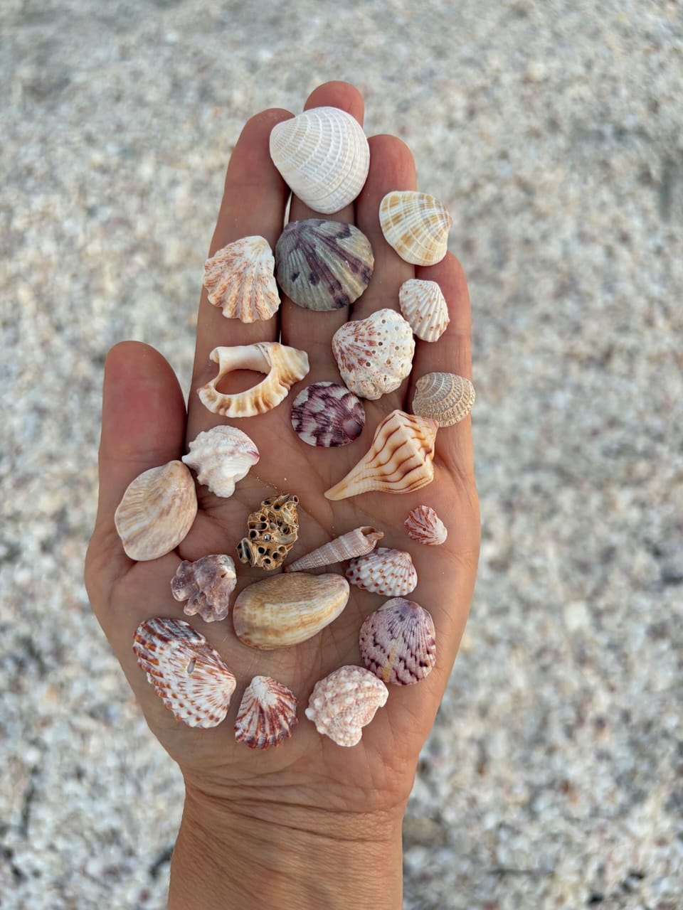 Always treasures to be found