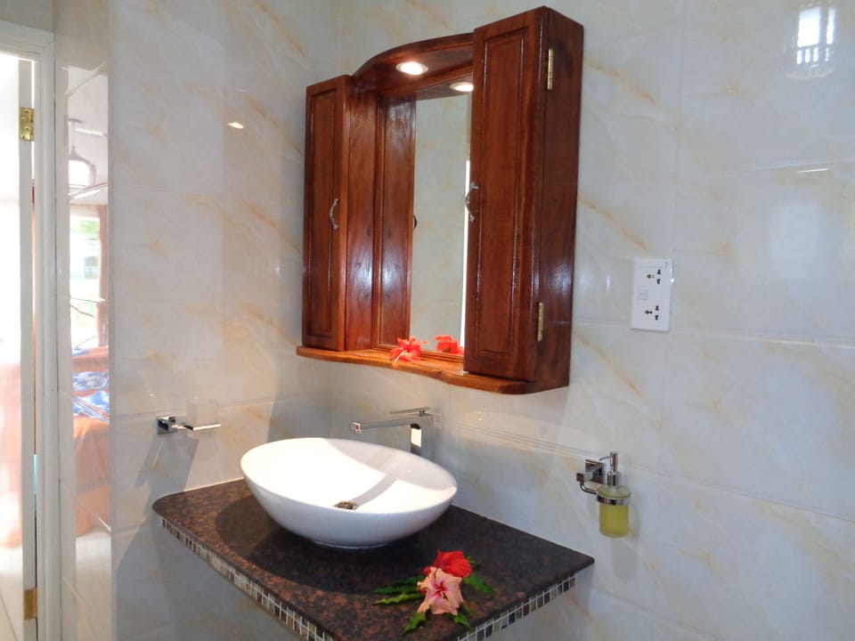Triple Room | Bathroom | Shower, towels, soap, shampoo