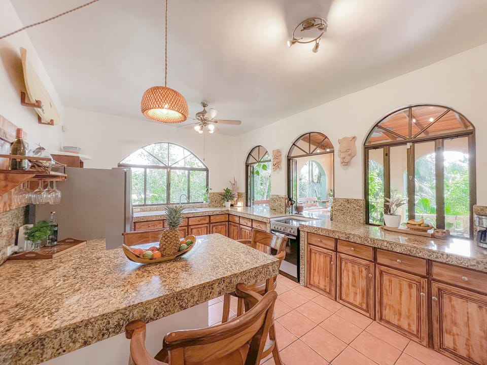 Jungle Palace Open Kitchen 