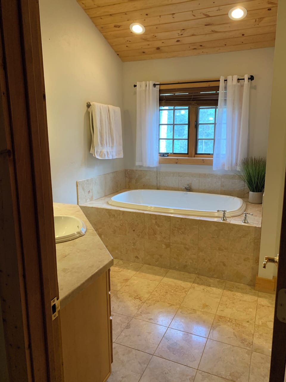 Master bathroom with Jacuzzi soaking tub and a Mr. Steam steam shower.