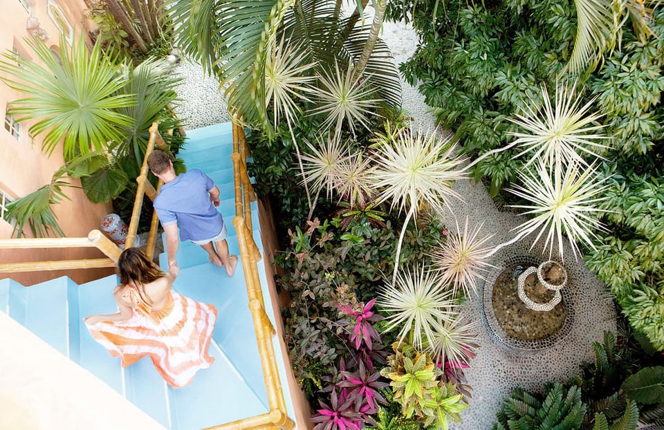 The lush garden of the house with the fountain