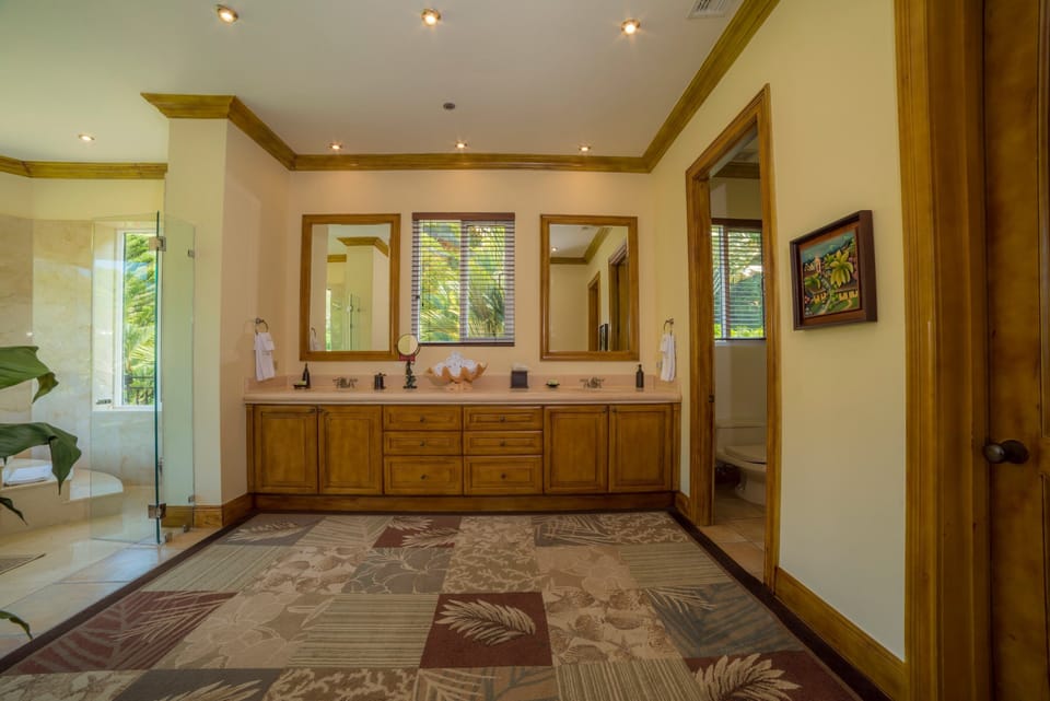 Super Master Bedroom Bath