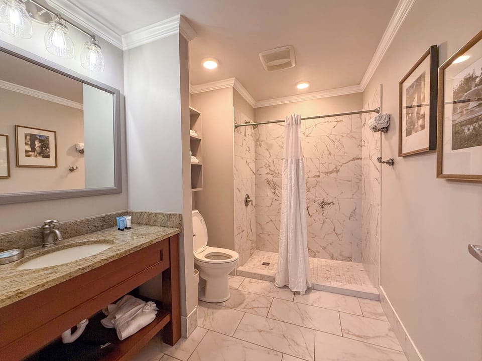 Free toiletries, hair dryer, bathrobes, towels