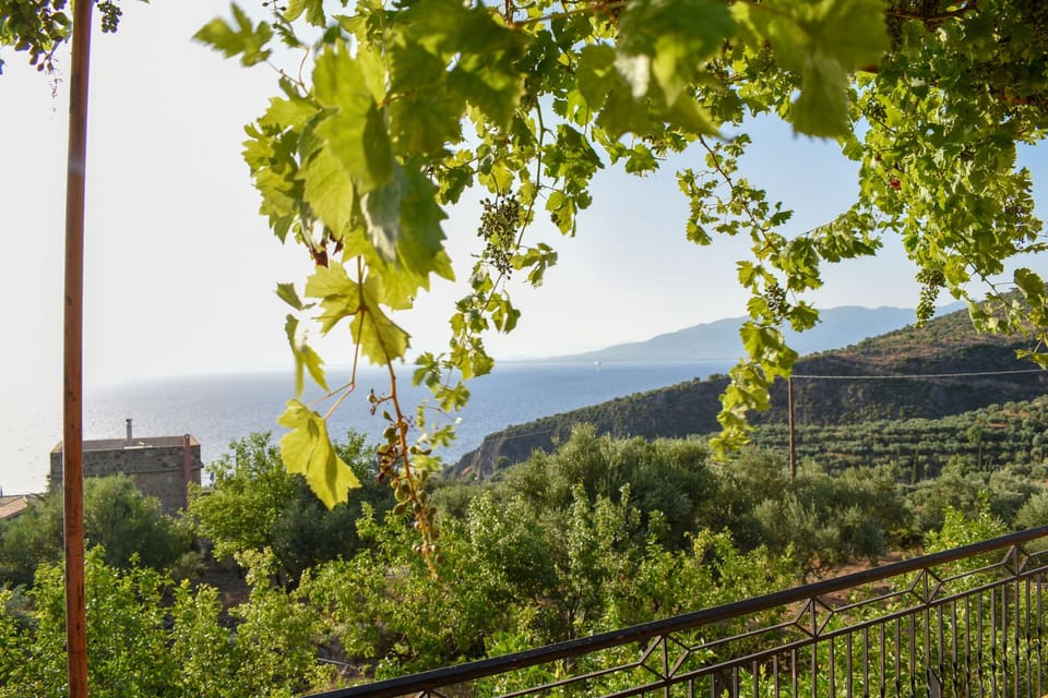 House, 2 Bedrooms | Garden view