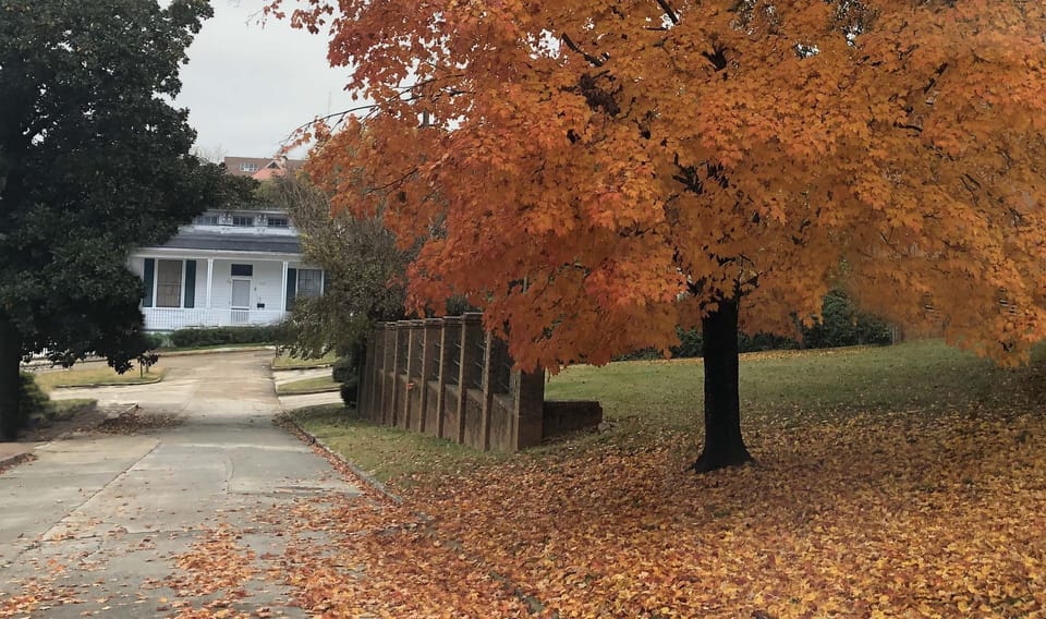 Enjoy Macon's quiet historic district.