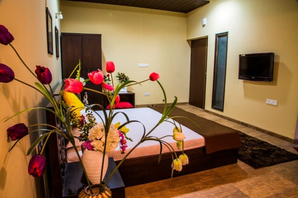 Executive Room | Free WiFi