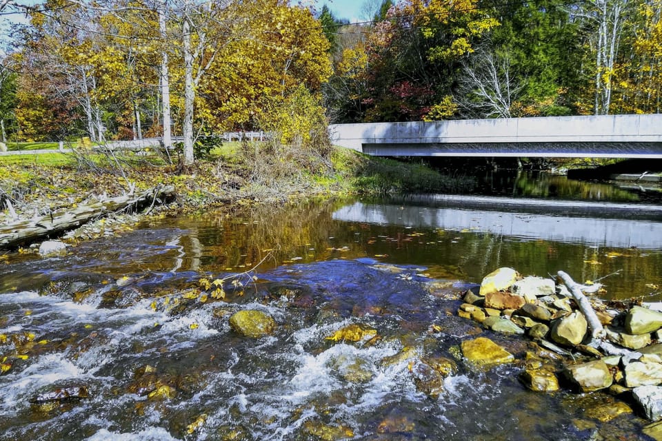 Nearby Creek