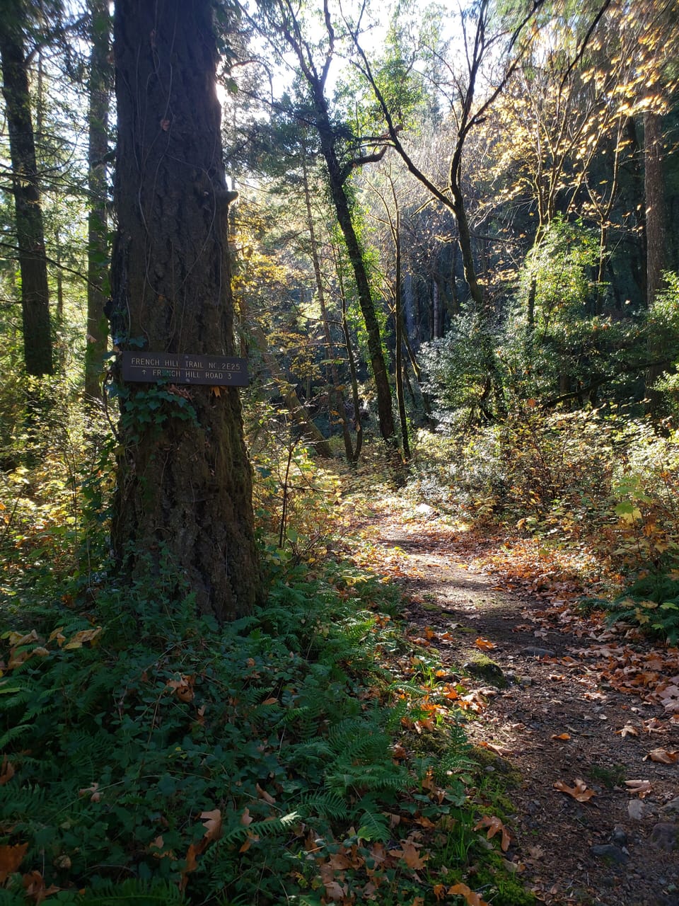 French Hill Trail (1.5 miles away)
