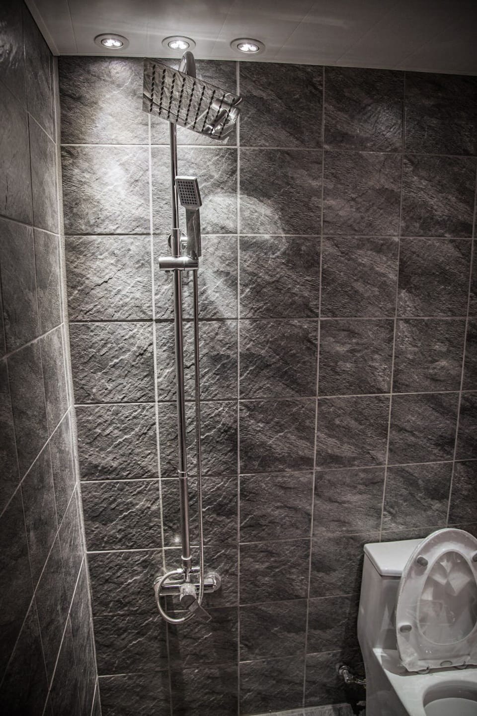 Shower, free toiletries, hair dryer, slippers