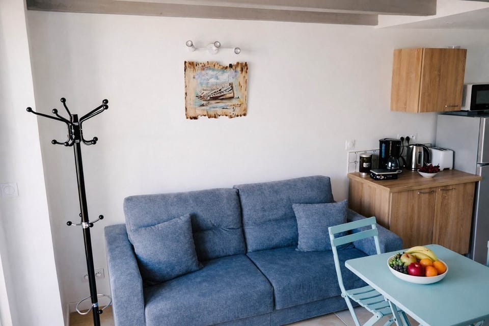 gite-la-cotiniere-salon-cuisine-ouverte