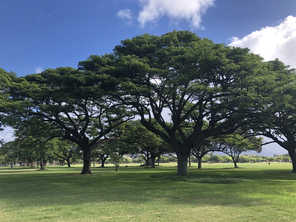 Park across the street 