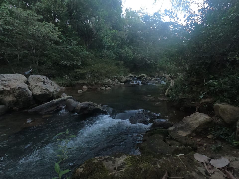 Ecotours