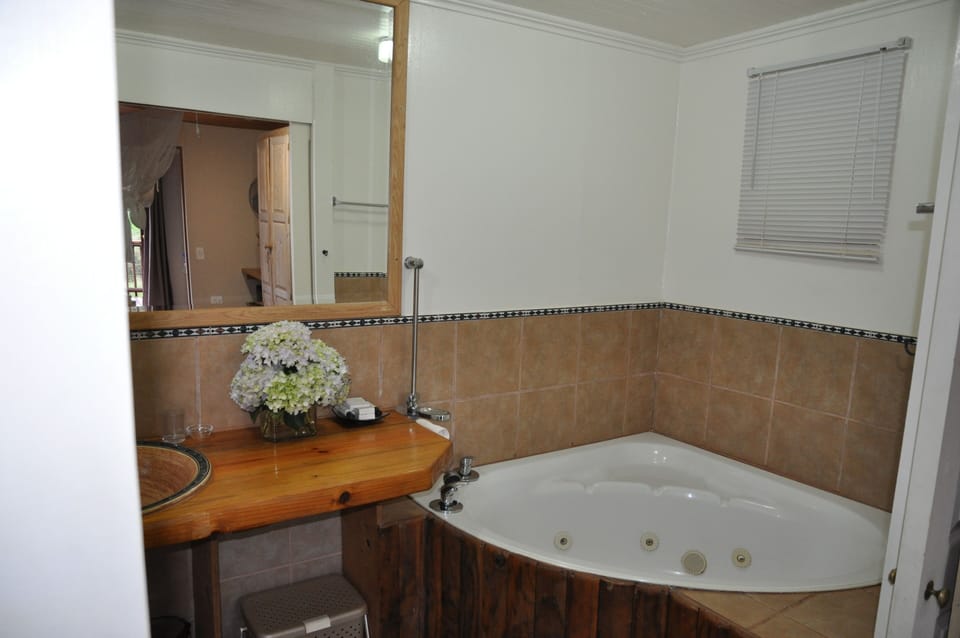Self Catering Studio | Bathroom | Free toiletries, towels