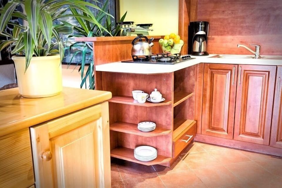 Studio Suite, 2 Bedrooms, Garden View | Private kitchen | Stovetop
