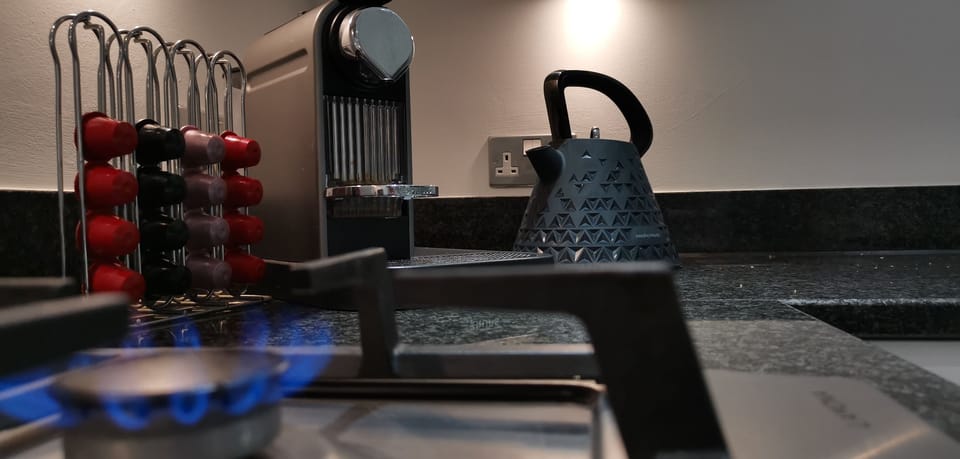 Apartment | Private kitchen | Fridge, microwave, oven, stovetop