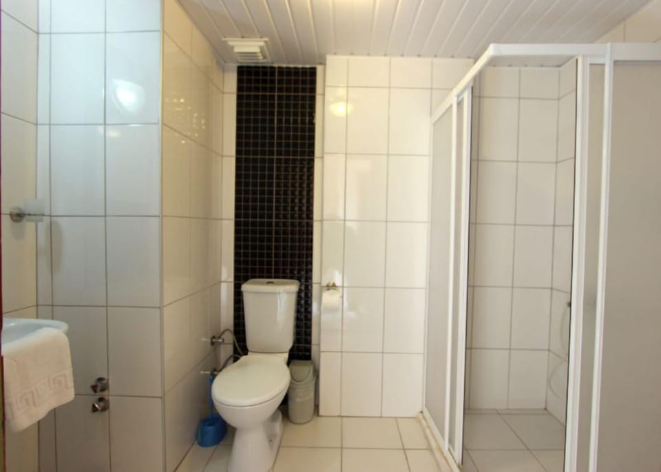 Apartment, 1 Bedroom, Balcony | Bathroom | Shower, free toiletries, hair dryer, towels