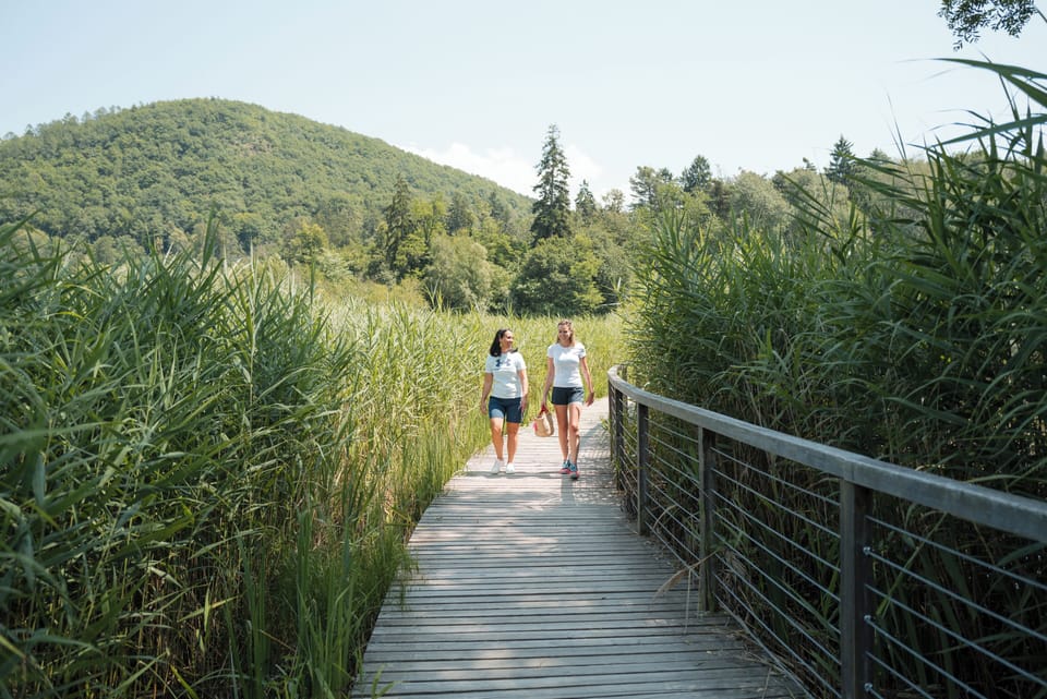 Hiking