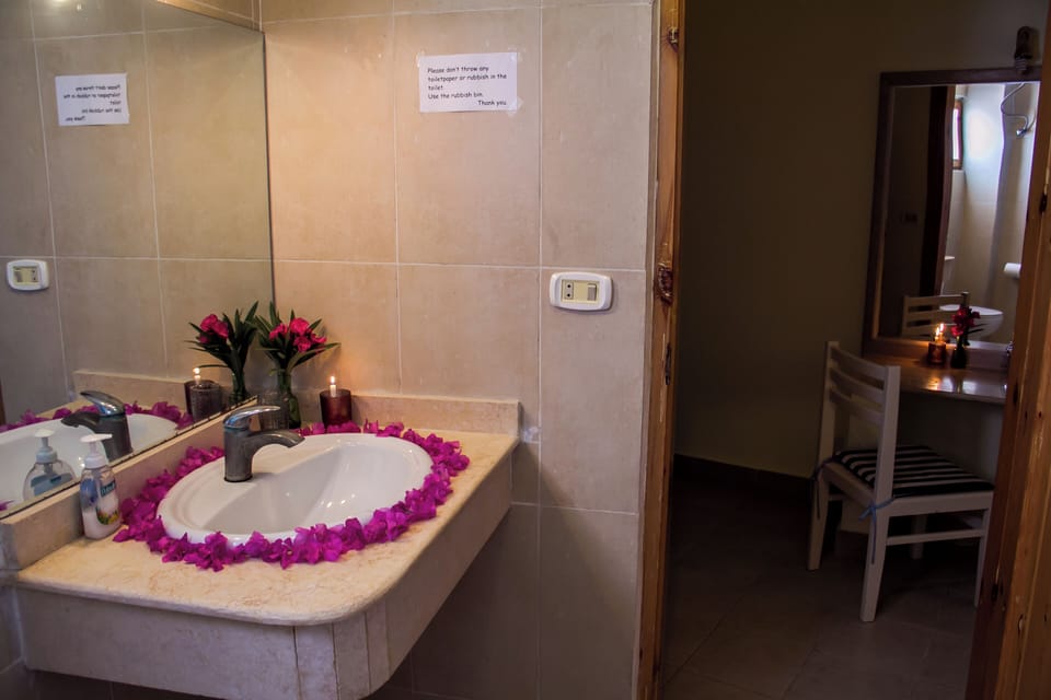 Standard Double or Twin Room | Bathroom | Shower, free toiletries, hair dryer, bidet