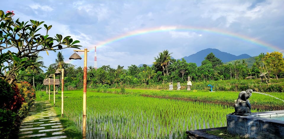 Lumbung Suite | Garden view