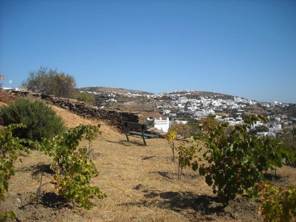 North-Eastern view from garden