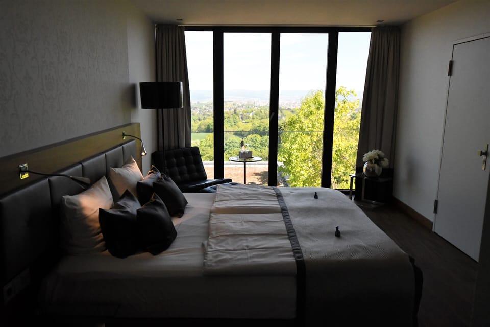 Superior Double Room | View from room