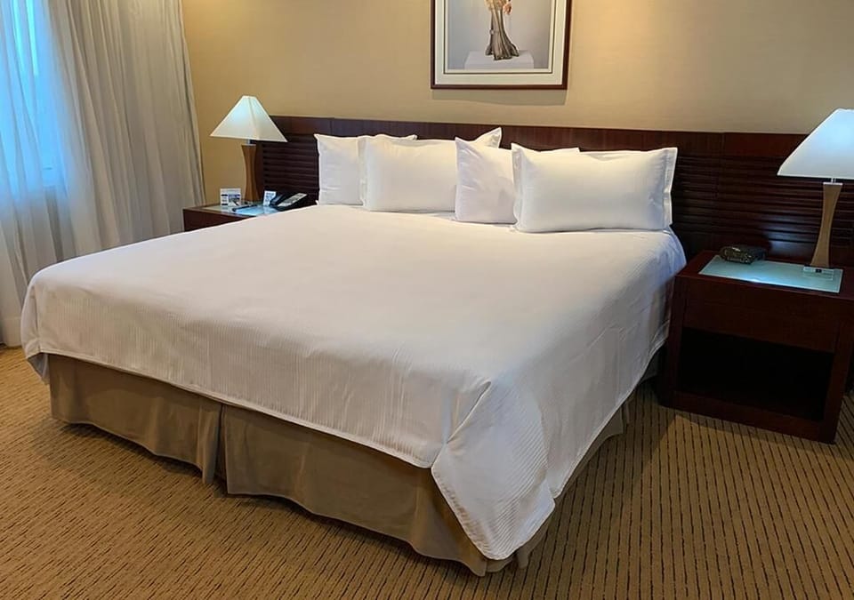 Single Room | Premium bedding, down comforters, minibar, in-room safe