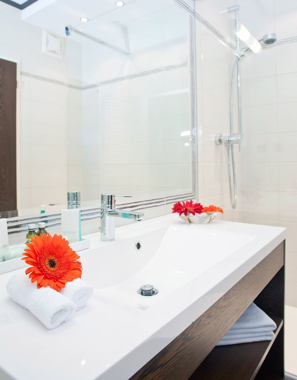 Shower, free toiletries, hair dryer, bathrobes