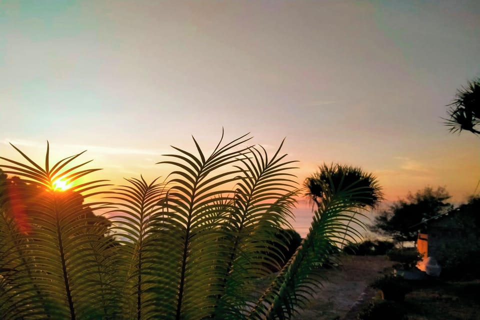 Twin Room, Ocean View | View from room