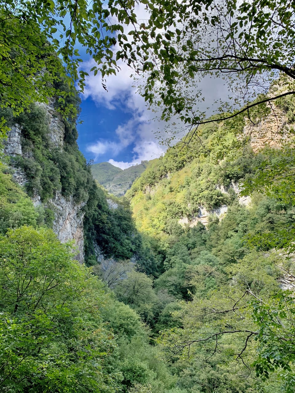 Hiking