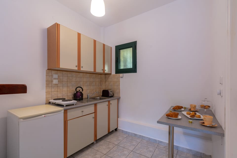 Studio | Private kitchenette | Mini-fridge, stovetop, electric kettle, toaster