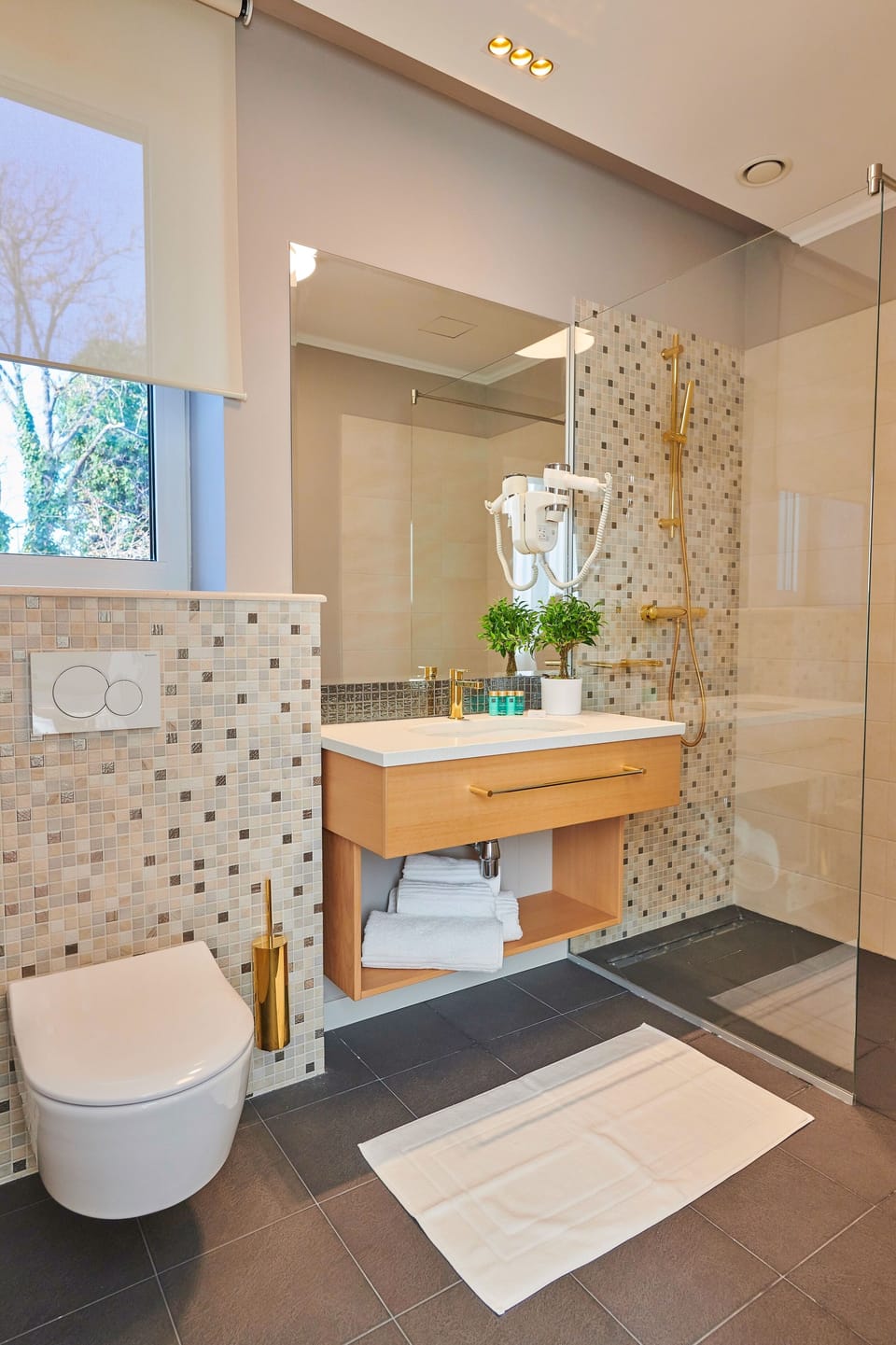 Shower, free toiletries, hair dryer, bathrobes