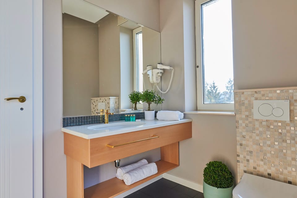 Deluxe Suite, Terrace | Bathroom | Shower, free toiletries, hair dryer, bathrobes