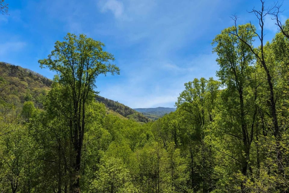 Mountain Views