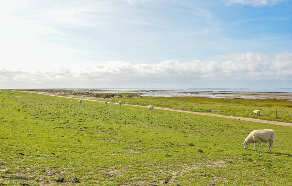 area