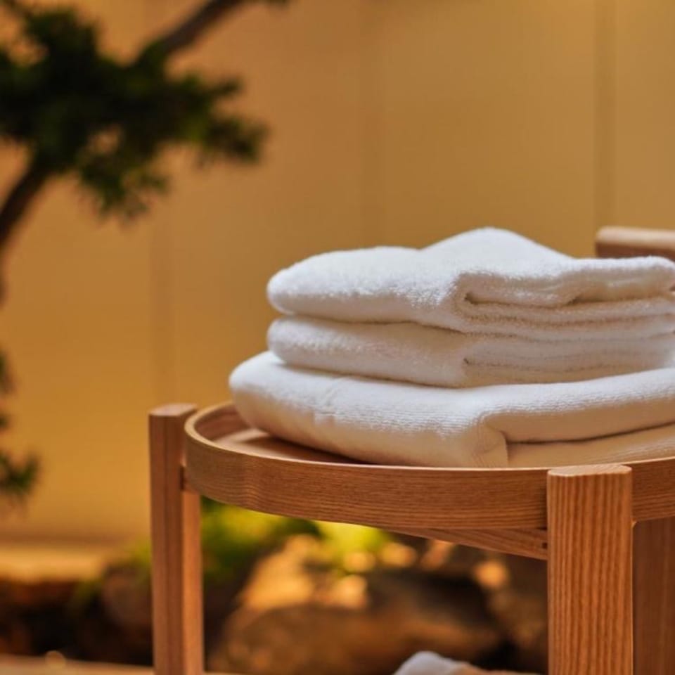 Exclusive Double Room | Bathroom amenities | Shower, free toiletries, hair dryer, towels