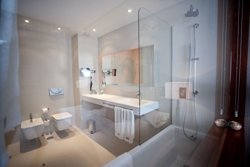 Combined shower/tub, free toiletries, hair dryer, bidet