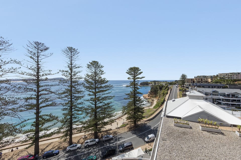 Suite, Club Lounge Access (Pine) | View from room