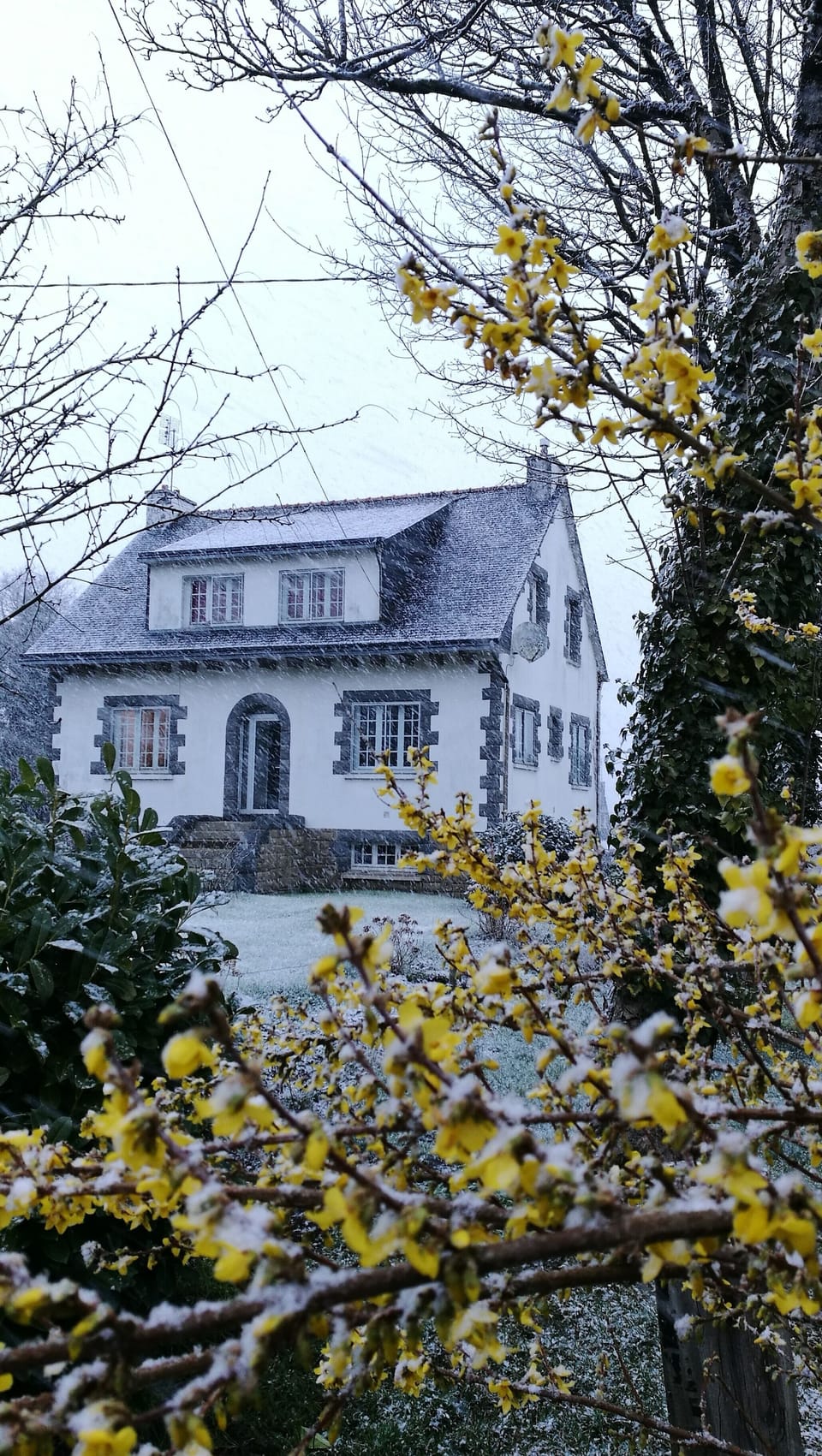 Front of property
