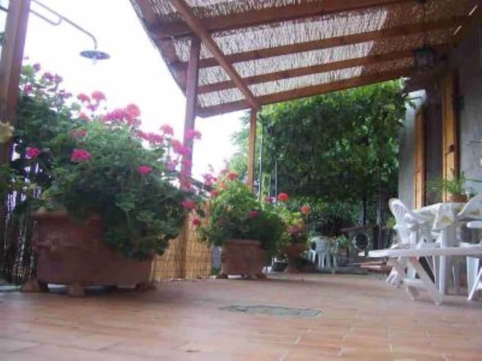 Terrace / Balcony
