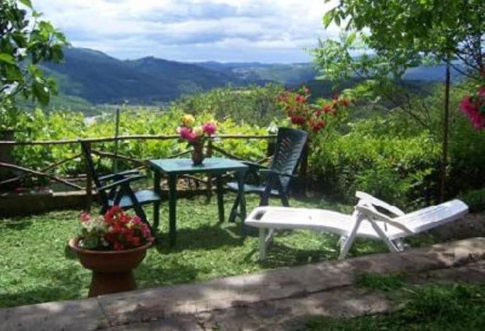 Garden, Park