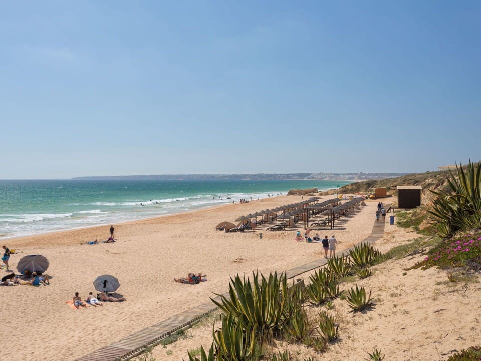 Sky, Water, Plant, Beach, Azure, Coastal And Oceanic Landforms, Body Of Water, Sand, Tree, Landscape