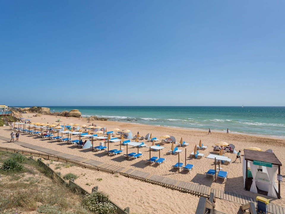 Water, Sky, Beach, Natural Environment, Plant, Coastal And Oceanic Landforms, Leisure, Horizon, Shore
