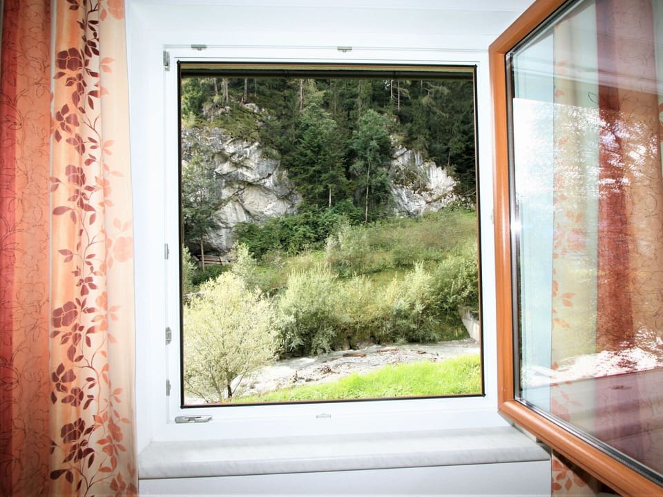 Plant, Property, Window, Rectangle, Wood, Shade, Interior Design, Vegetation, Grass