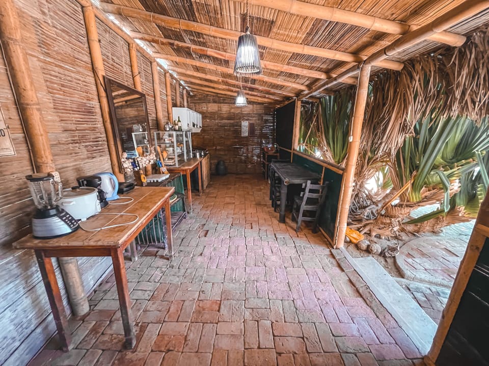 Full-size fridge, oven, dishwasher, rice cooker