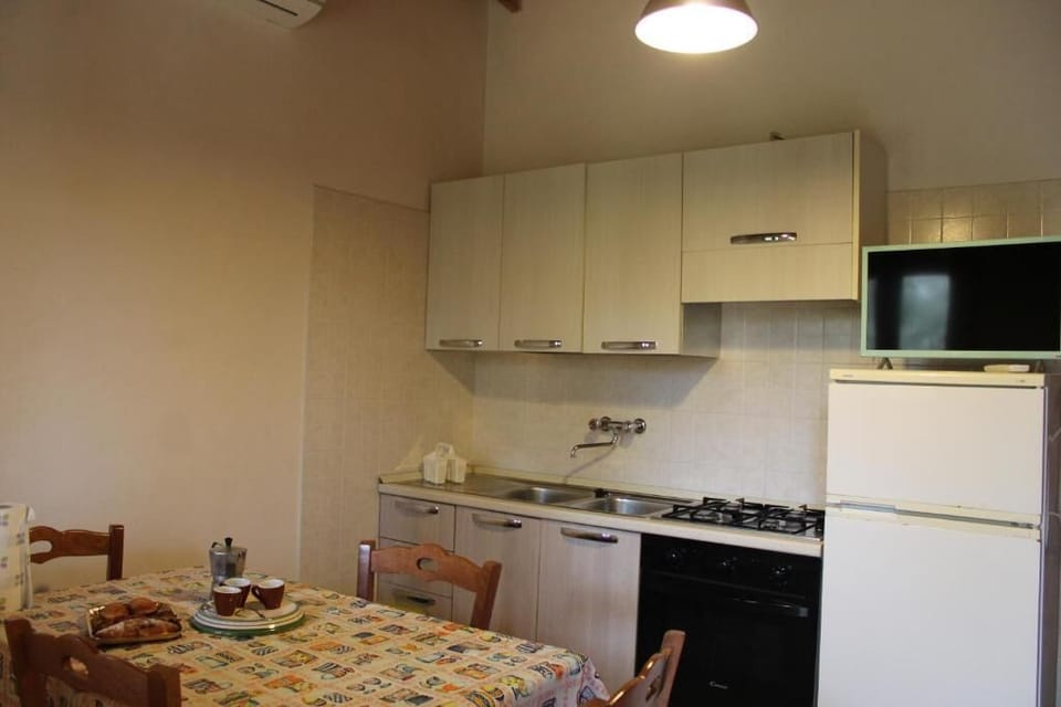 Fridge, oven, stovetop, cookware/dishes/utensils