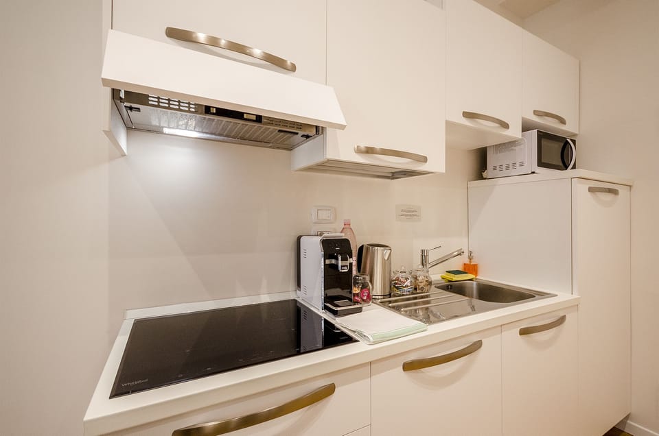 Studio | Private kitchenette | Full-size fridge, microwave, stovetop, electric kettle