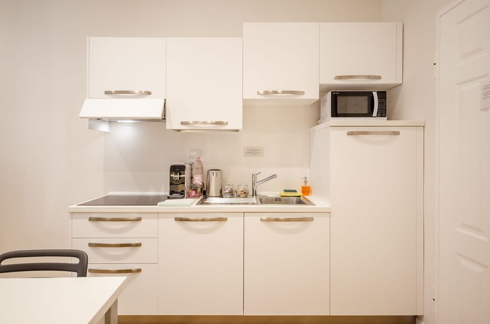 Studio | Private kitchenette | Full-size fridge, microwave, stovetop, electric kettle