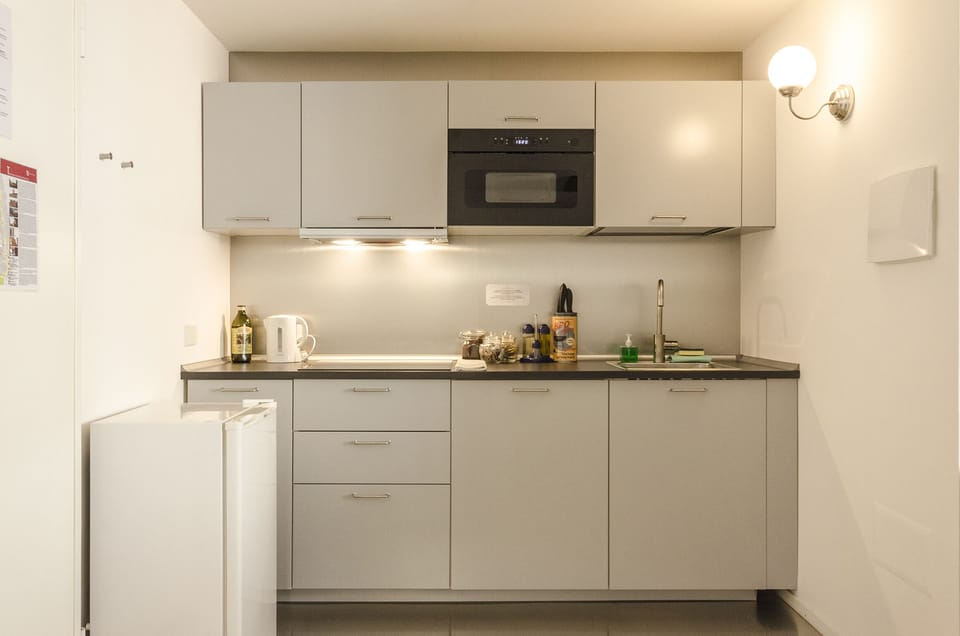 Apartment, 1 Bedroom | Private kitchenette | Fridge, microwave, stovetop, electric kettle