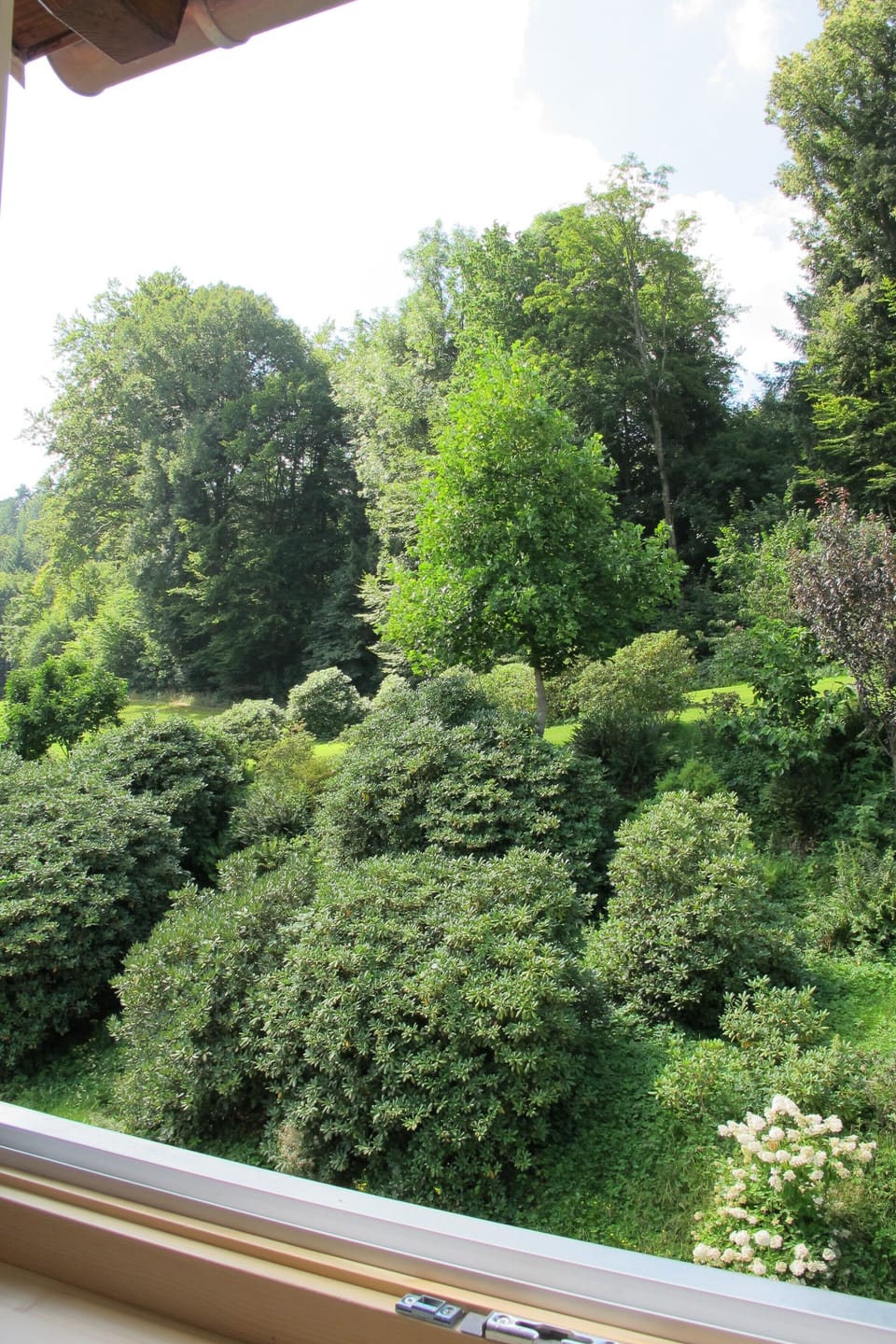 View from property